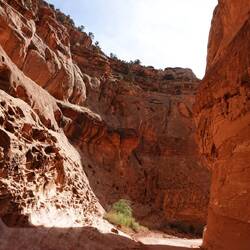 Capitol Gorge