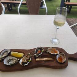 Feine Austern zum Apero 🤣🥸