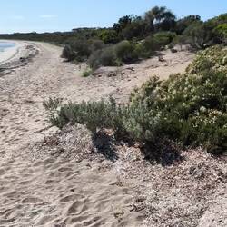 Nahaufnahme unten am Strand