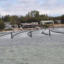 Coffin Bay: Austernzucht