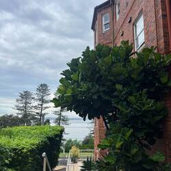Blick vom Haus Richtung Delwood Beach