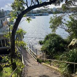 Weg zum Manly Wharf, wo die Fähre in die Stadt abfährt