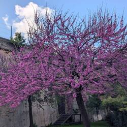 Frühling