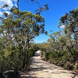 Wanderung zu den Aboriginal Engravings