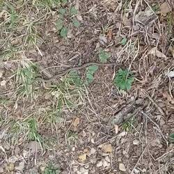 Sie lebt, aber Ihr ist wohl kalt.