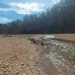 Die falsche Blue Spring, die Kleine.