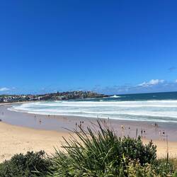 Bondi Beach