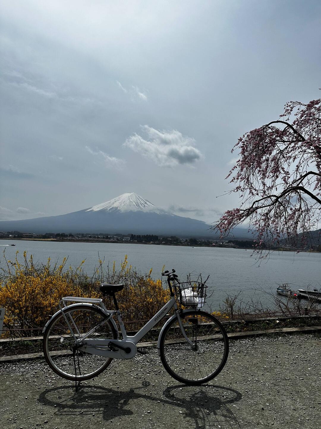 Schneewittchen habe ich es getauft