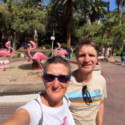 Kurzer Abstecher in den Garten des Flamingo 🦩 Hotels
