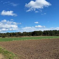 Nach unserer Personenkontrolle fährt die Straż Graniczna weiter in Richtung Grenze.