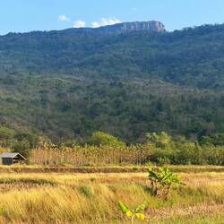 Sad to have left the height behind, we had dropped down into Loei’s Phu Luang district.