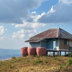 House with a view