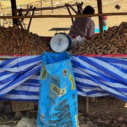 Heaps of tamarind sold all along our route on roadside stalls.