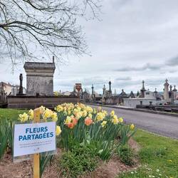 A beautiful flower garden at the Saint Sanien cemetry, where you're invited to pick the flowers