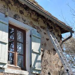 Our swarm of bees in residence - with the token window