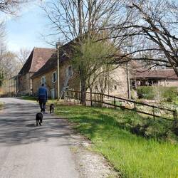 A steep walk up the hill after our walk to the lake