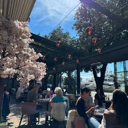 Slasticarnica Cacao ... ein schöner Plätz für eine Pause