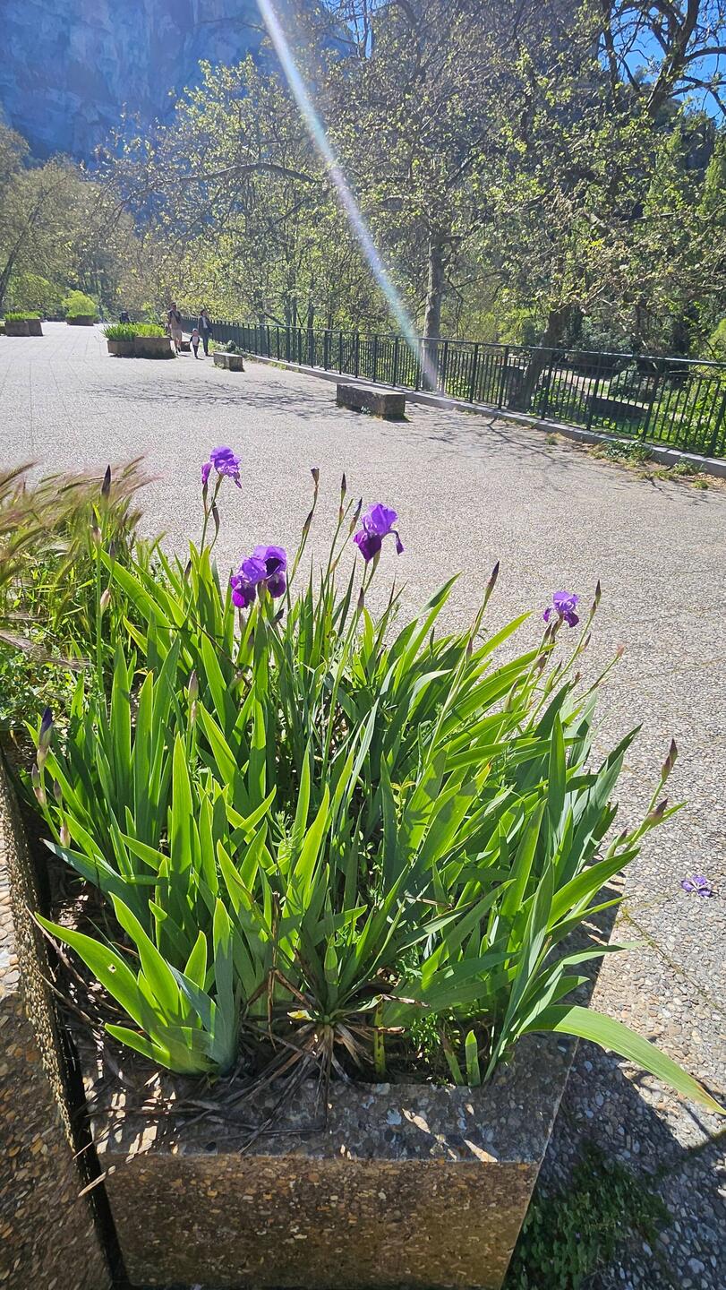 Der Frühling kommt....