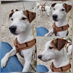 Hatten wieder Argumente zum Kaffe in der Hand