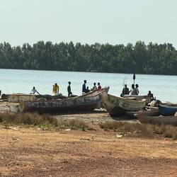 Fischer bei der Arbeit 🐟