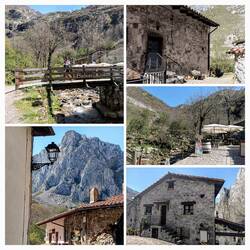 Bulnes