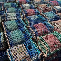 Reusen für Krustentiere