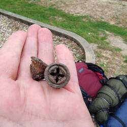 "hier liegen schrauben" dachte die Hausmeisterin. Dass das zu Bäumen gehört checkte ich erst später