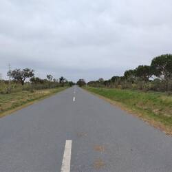 Asphalt. Nur kurz. Drei Autos habe ich gesehen