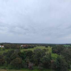 Noch ne Aussicht. Bei den Kühen lief entweder irgendeine Maschine oder Technomusik...