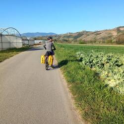 Maraîchages et vignes.