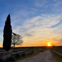 Bei Sonnenuntergang geht's zurück ins Dorf.