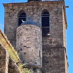 Wir hören das Klappern der Störche.