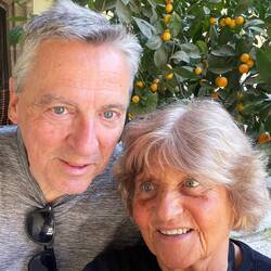 Ob die Orangen zu Weihnachten nicht geerntet wurden??