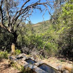 Erfrischend kühles Quellwasser