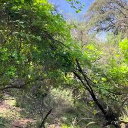 Wir sind allein auf unserer Wanderung. Nur das Zwitschern der Vögel ist zu hören.