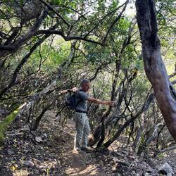 Martin in Tarnfarben