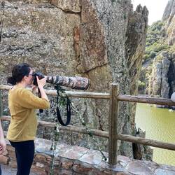 Die meisten so... und ganz professionell...