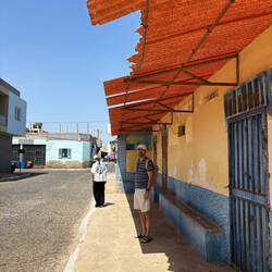 Palmeira