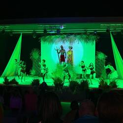 Die Afrika Show