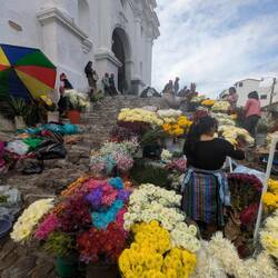 Flowers leading up to the church