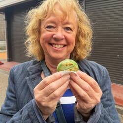 Trying some kusamochi