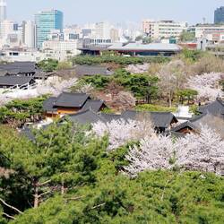 Namsan Hanok Village
