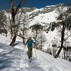 ... durch lichten Wald gehts teilweise steil aufwärts ...