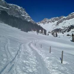 Auf dem Ziehweg von Untertrübsee Richtung Gletti ...