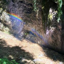 Regenbögen 🌈