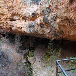 Die Mossy Cave