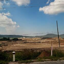 Hier wird groß gedacht! Der Urwald hat freundlicherweise Platz gemacht