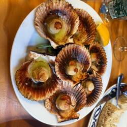 Our first scallops on the trip (despite following scallop shaped signs the whole time!)