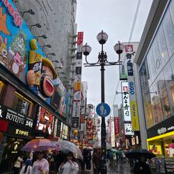 Das ganze Viertel sieht so aus