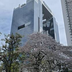 Umeda Sky Building - ich will unbedingt die Rolltreppe fahren